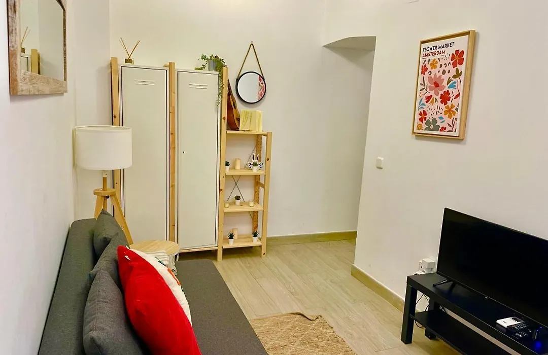 Stylish One Bedroom Flat In The Heart Of Madrid-1